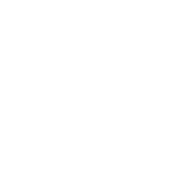 Rohan Cargo Movers Logo